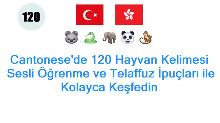 Cantonesede 120 Hayvan Kelimesi: Sesli Öğrenme ve Telaffuz İpuçları ile Kolayca Keşfedin